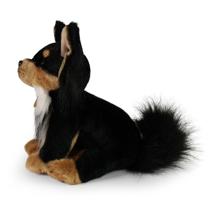 Плюшено куче Чихуахуа Rappa