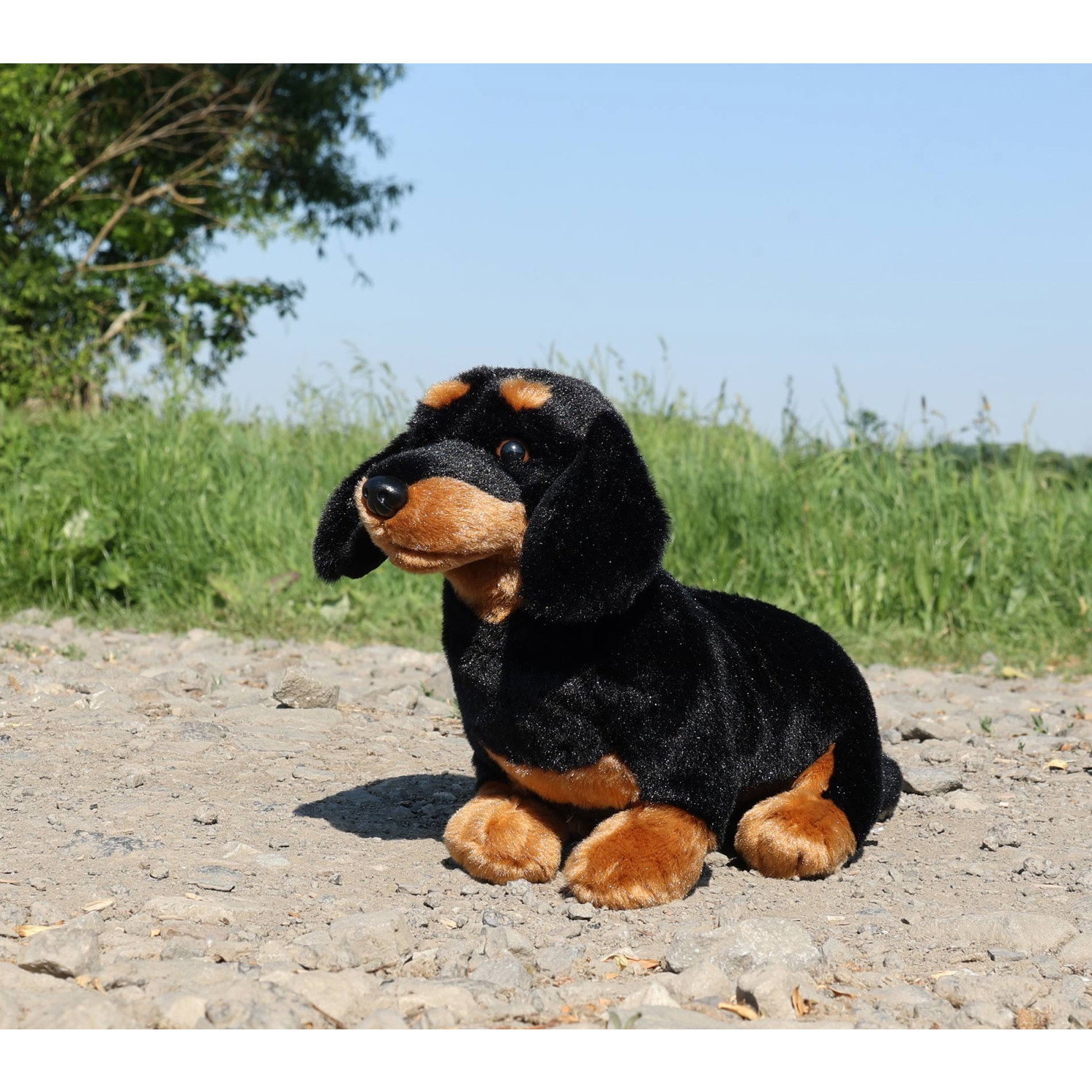 Плюшено куче Дакел Rappa