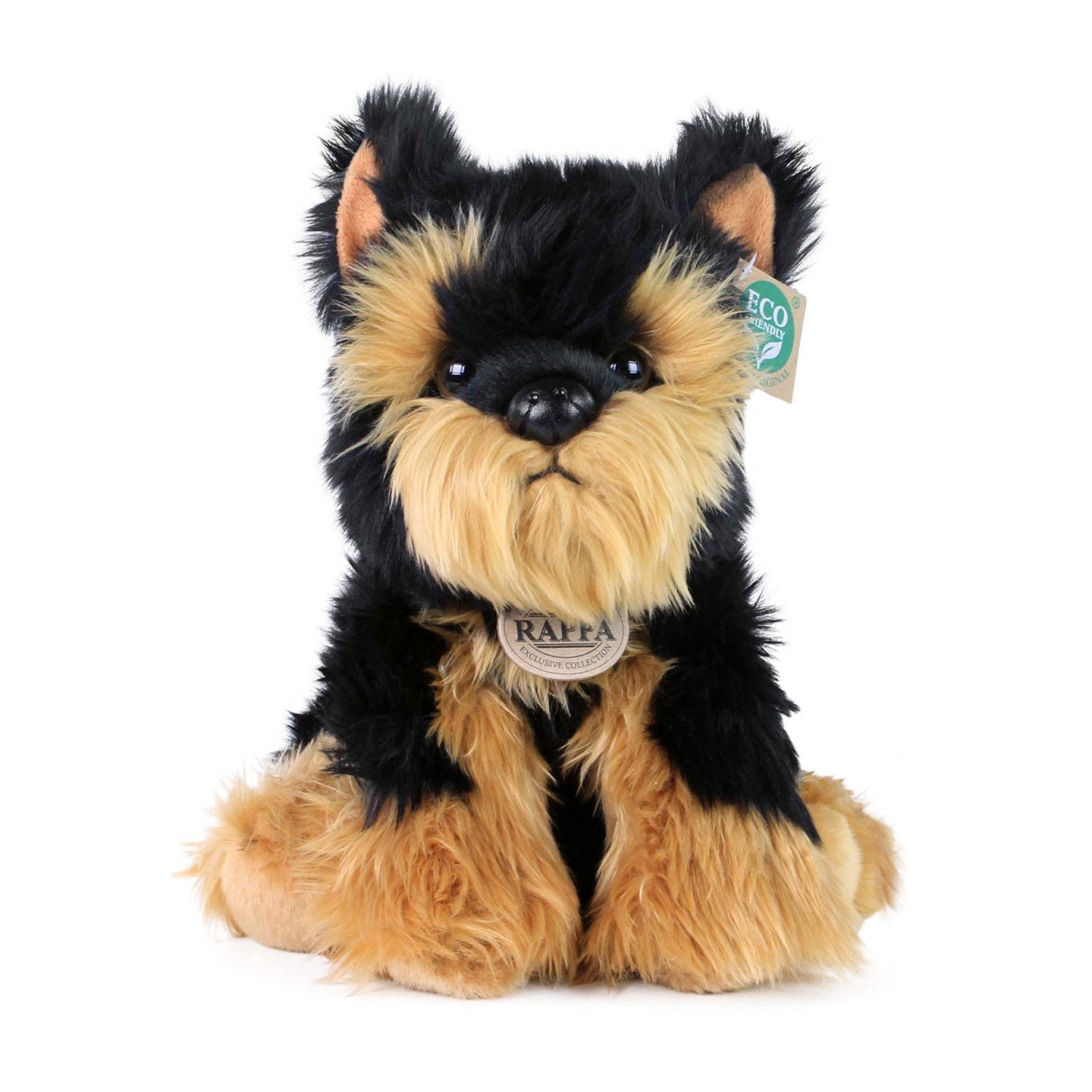 Плюшено куче Териер Rappa