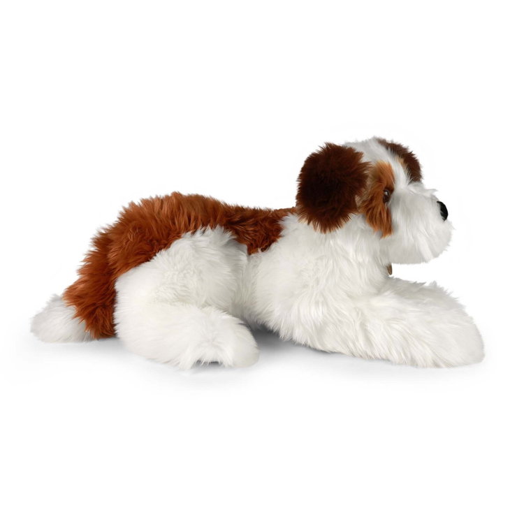 Плюшено куче Ши Тцу Rappa