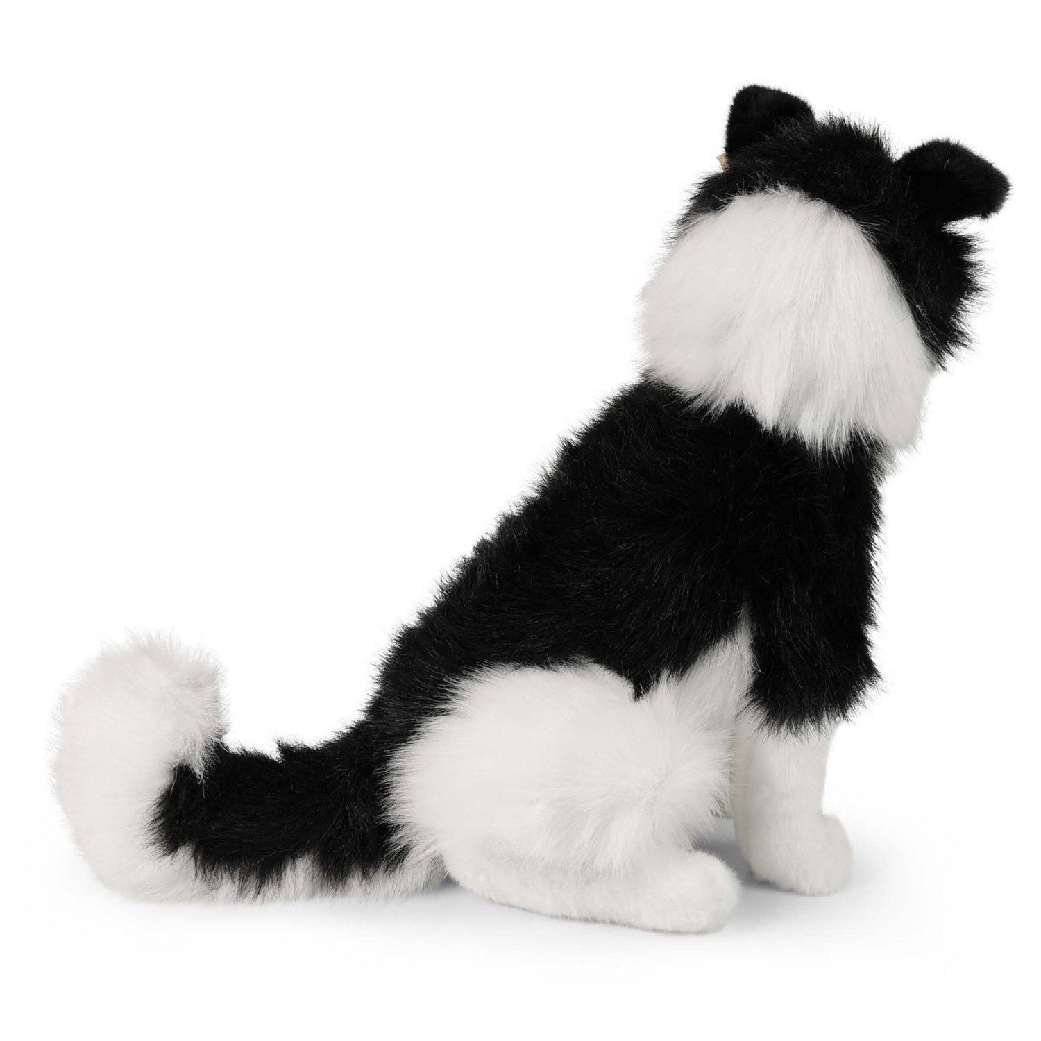 Плюшено куче Бордър Коли Rappa