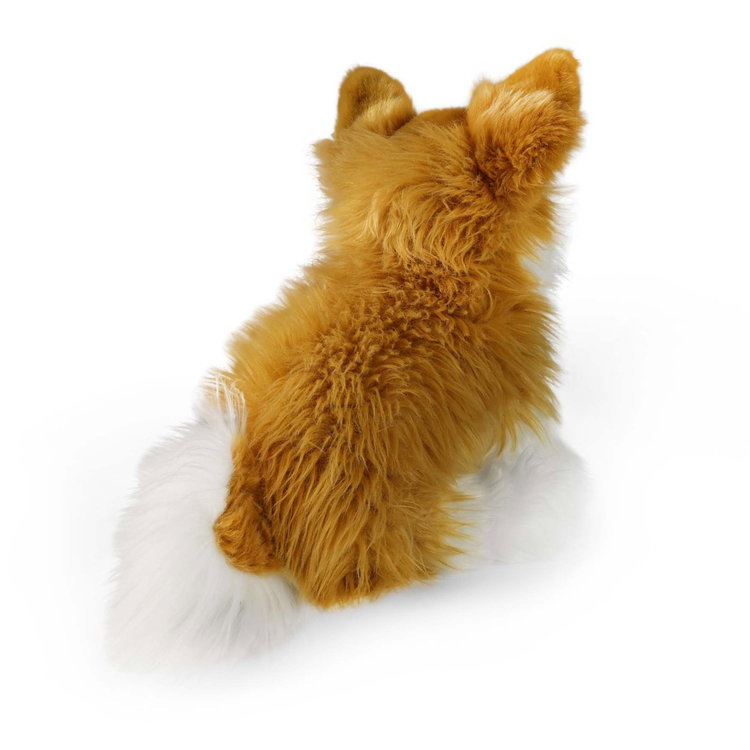 Плюшено куче Чихуахуа Rappa