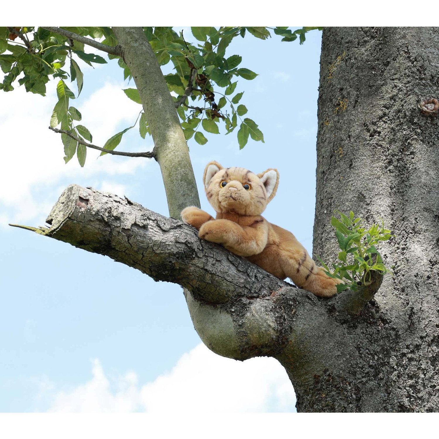 Плюшена Котка Rappa