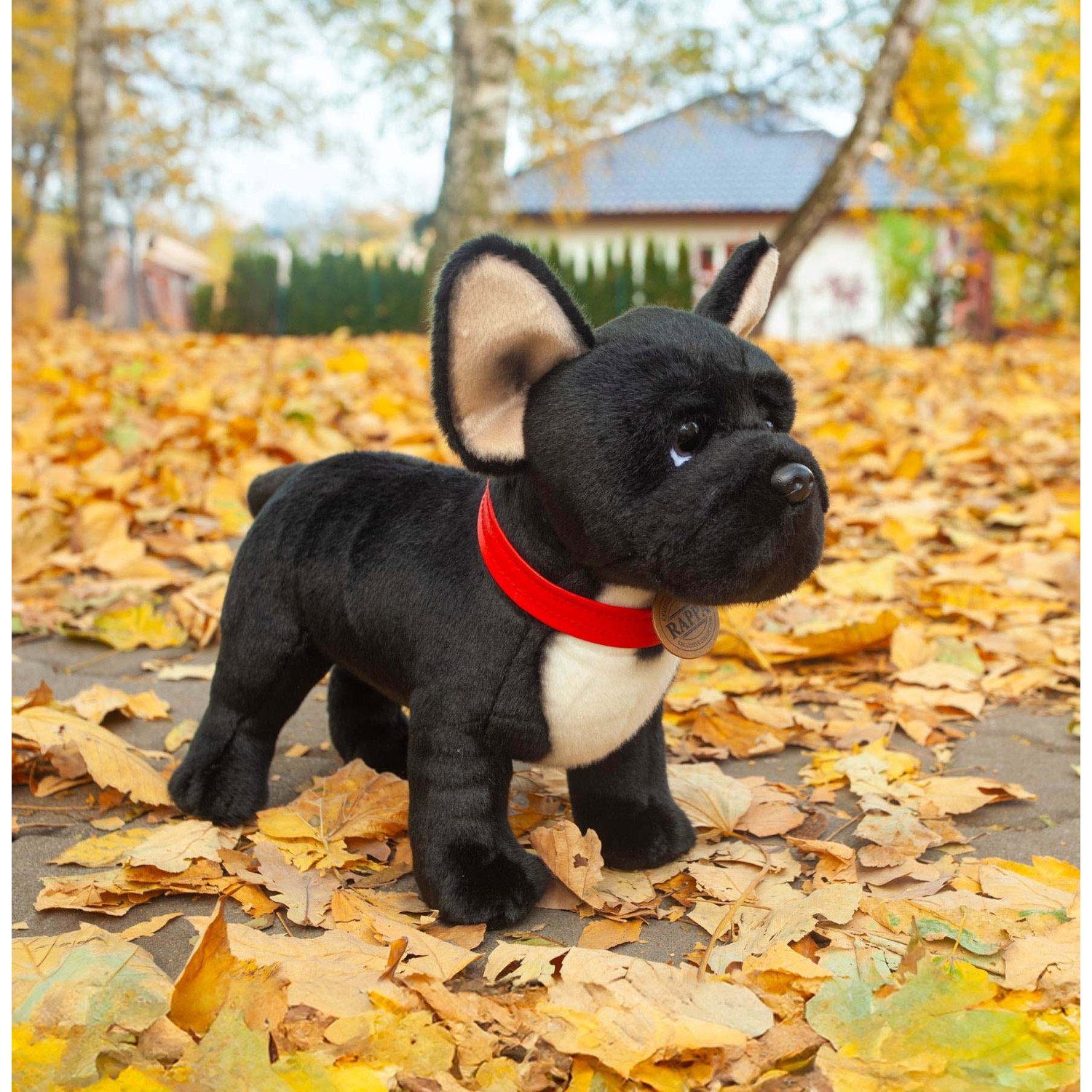 Плюшено куче Френски булдог Rappa