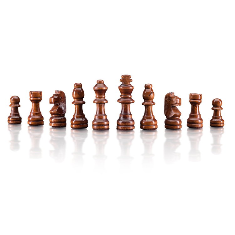 Магнитен шах