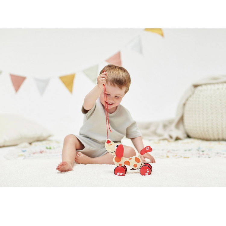 Дървена играчка за дърпане кученцето Пепе, Hape