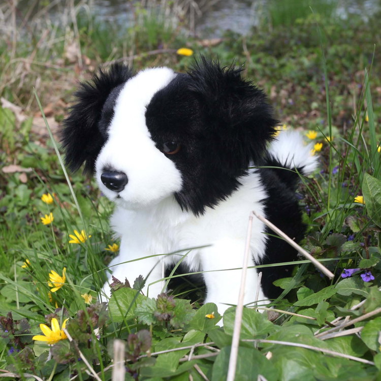 Плюшено куче бебе Бордър Коли Rappa