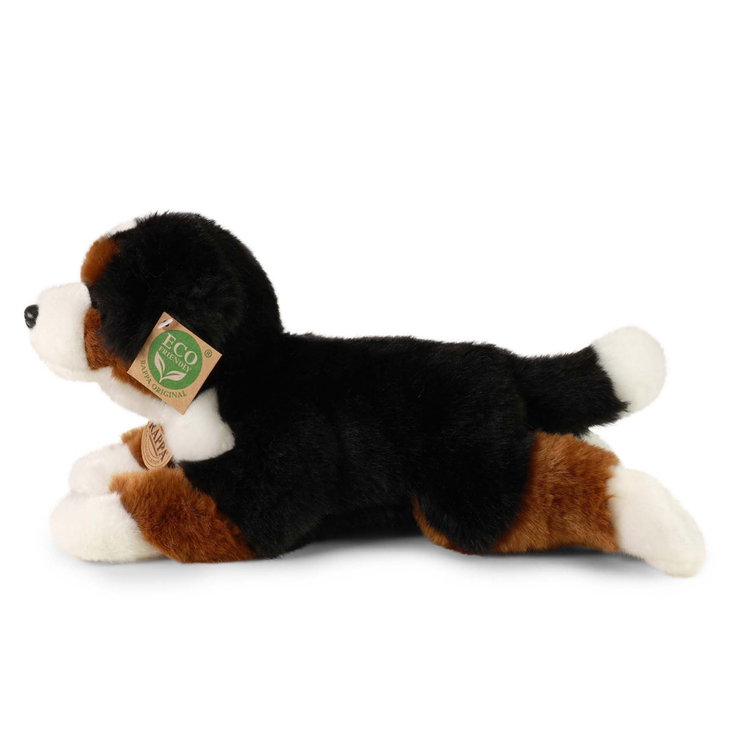 Плюшено куче бебе Бернски зененхунд Rappa