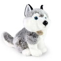 Плюшено куче Хъски Rappa