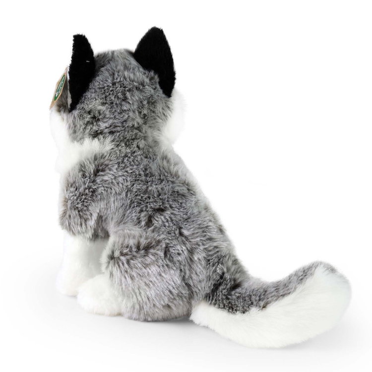 Плюшено куче Хъски Rappa