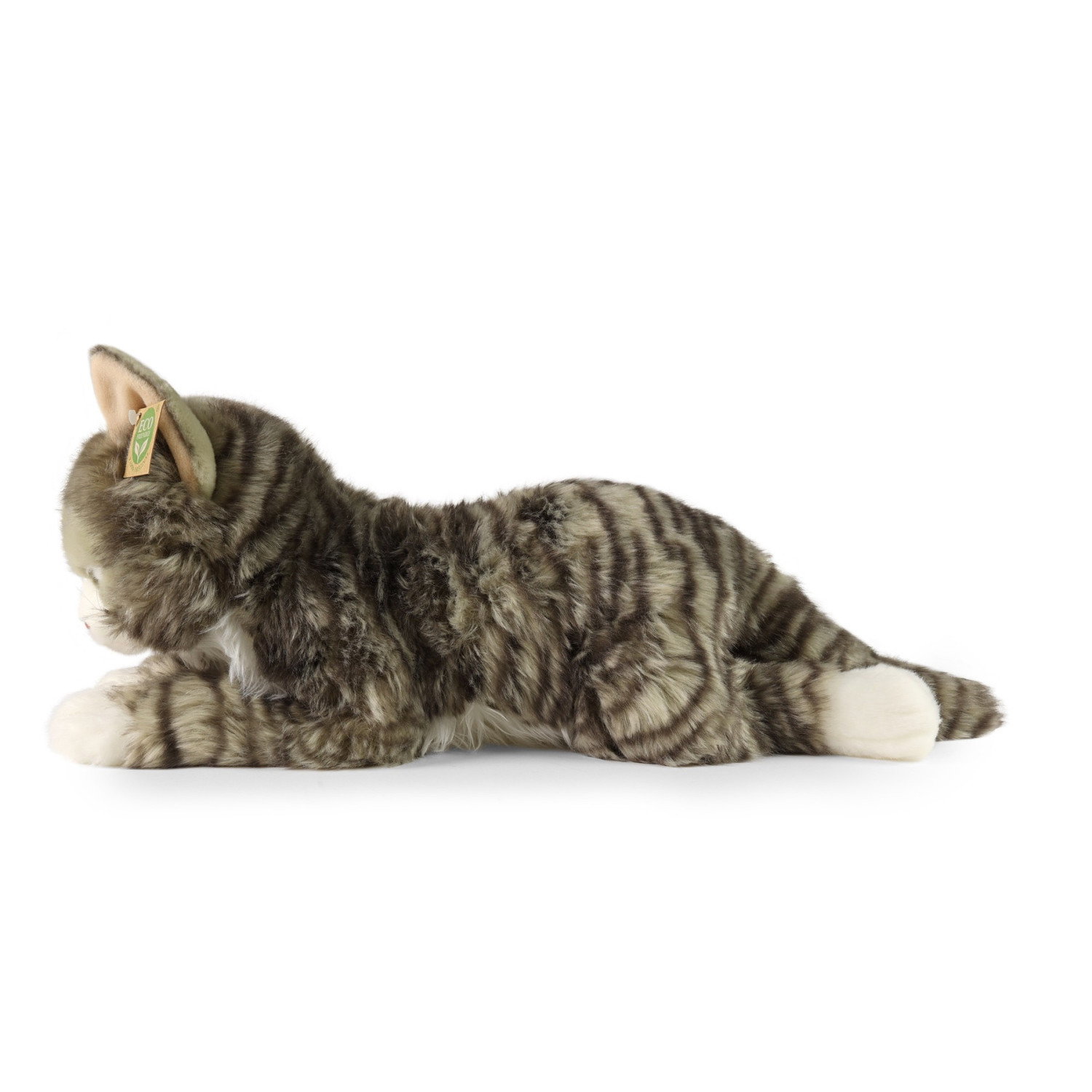 Плюшена Норвежка котка Rappa