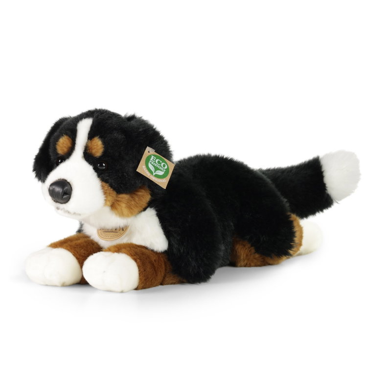 Плюшено куче Бернски зененхунд Rappa