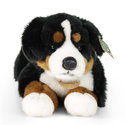 Плюшено куче Бернски зененхунд Rappa