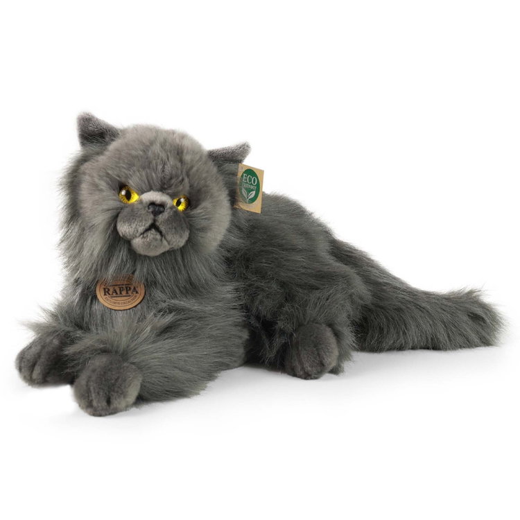 Плюшена Персийска котка Rappa