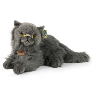 Плюшена Персийска котка Rappa