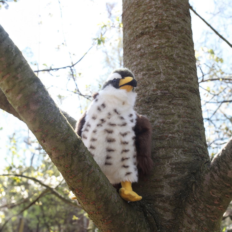 Плюшен Ястреб Rappa