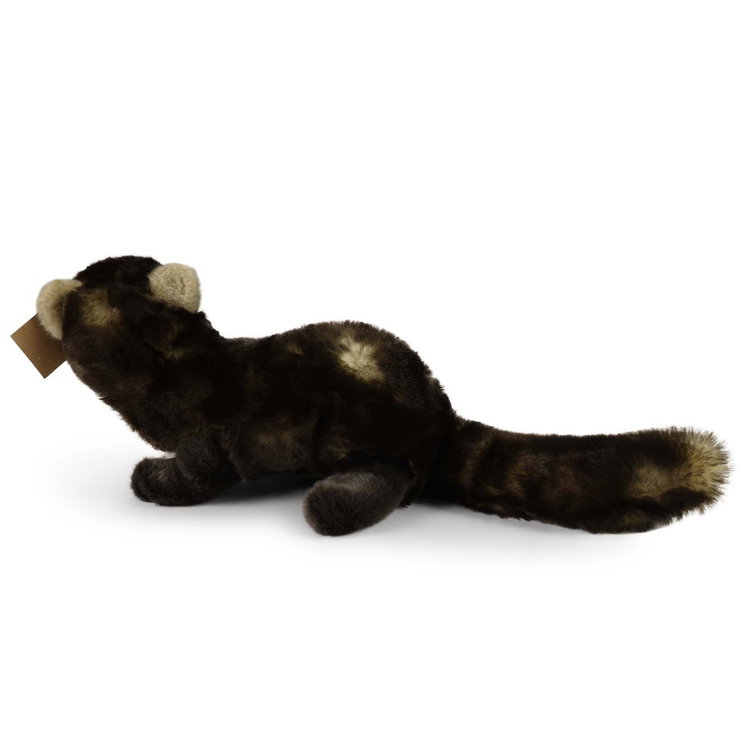 Плюшена Златка - Мартен Rappa