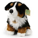 Плюшено куче бебе Бернски зененхунд Rappa