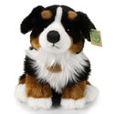 Плюшено куче бебе Бернски зененхунд Rappa