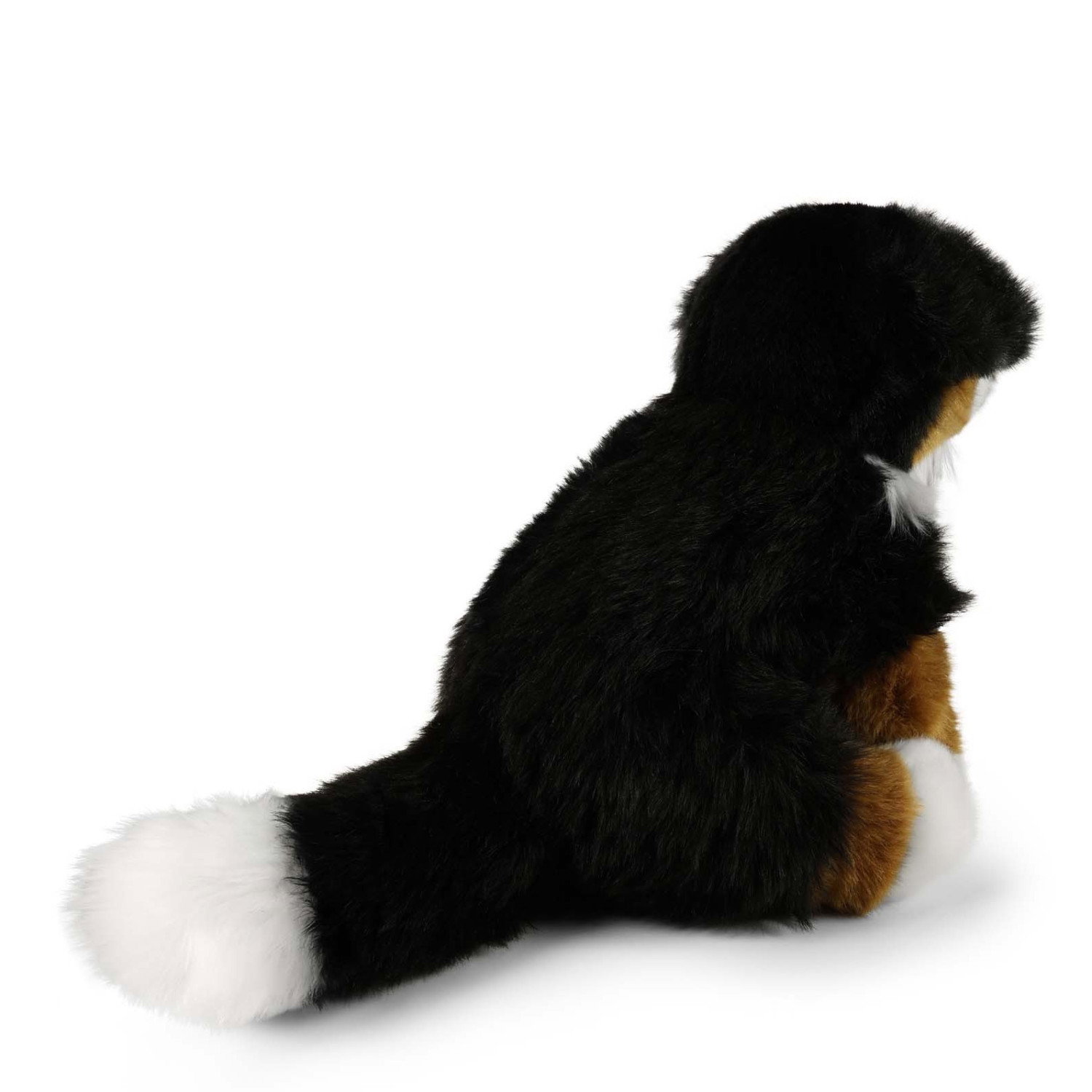 Плюшено куче бебе Бернски зененхунд Rappa