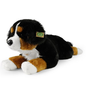 Плюшено куче Бернски зененхунд Rappa