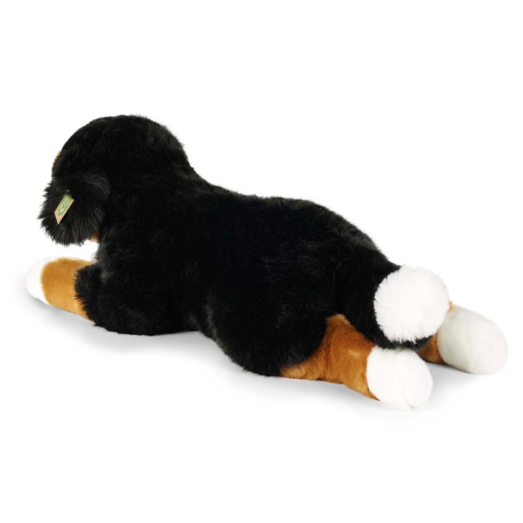 Плюшено куче Бернски зененхунд Rappa