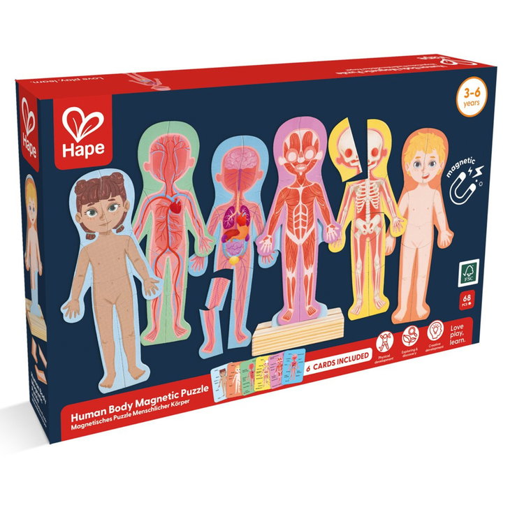 Магнитен пъзел Човешкото тяло, Hape
