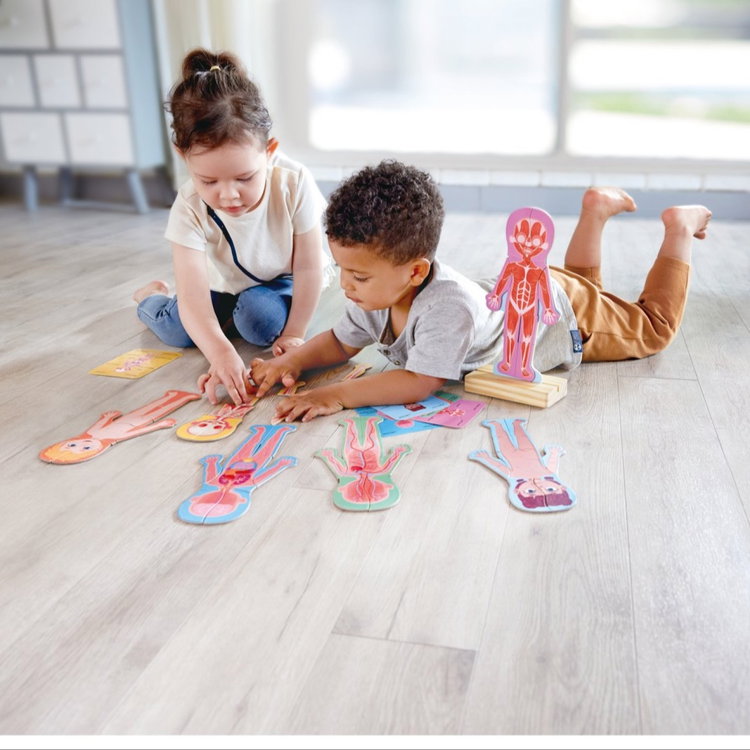 Магнитен пъзел Човешкото тяло, Hape