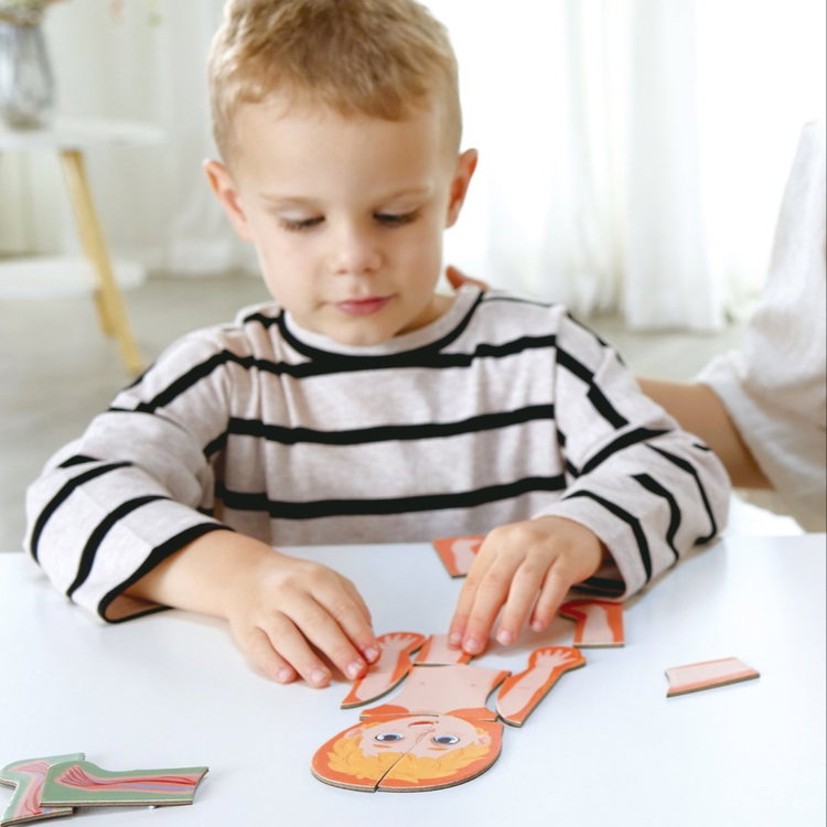 Магнитен пъзел Човешкото тяло, Hape