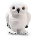 Hedwig owl