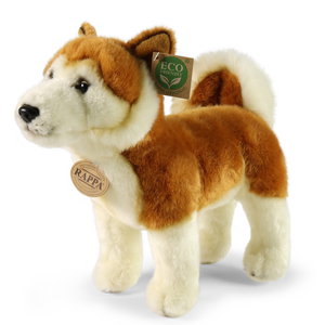 Плюшено куче Акита Rappa