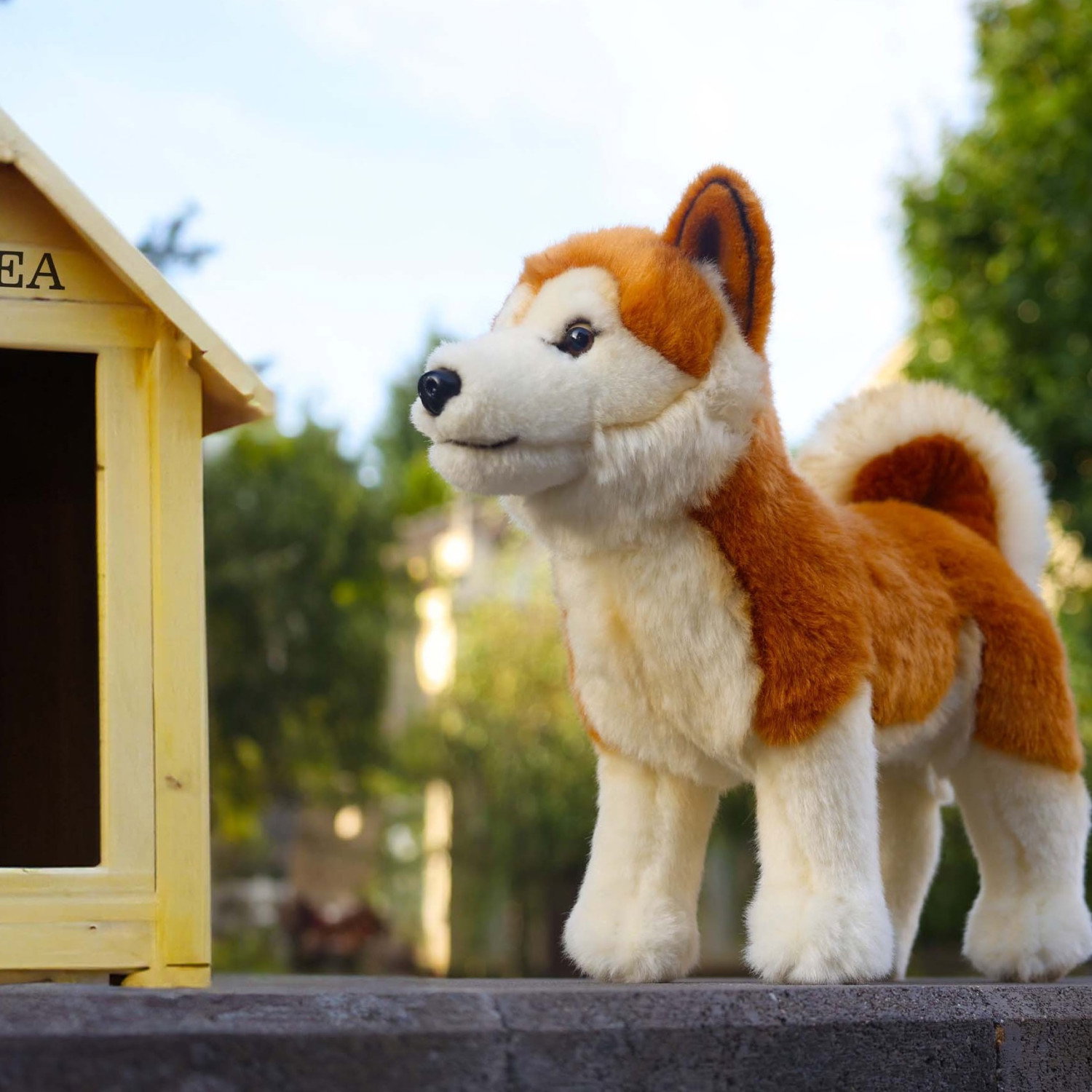 Плюшено куче Акита Rappa