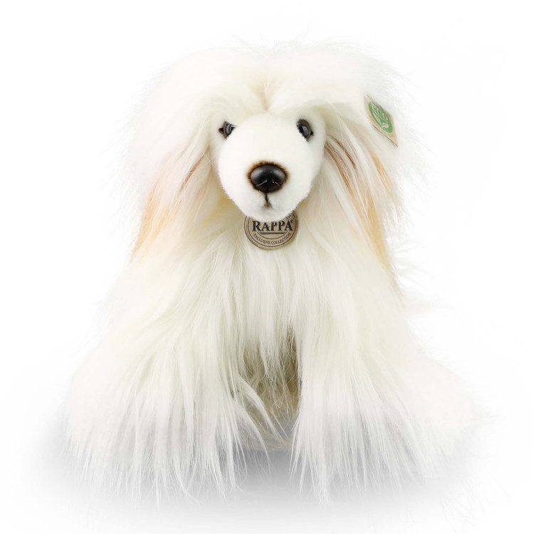 Плюшено Китайско качулато куче Rappa