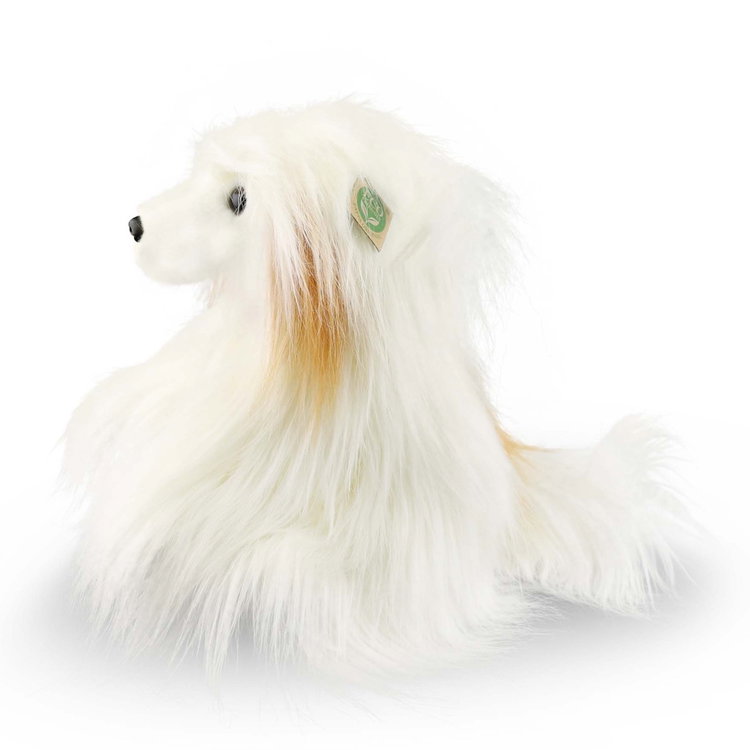 Плюшено Китайско качулато куче Rappa