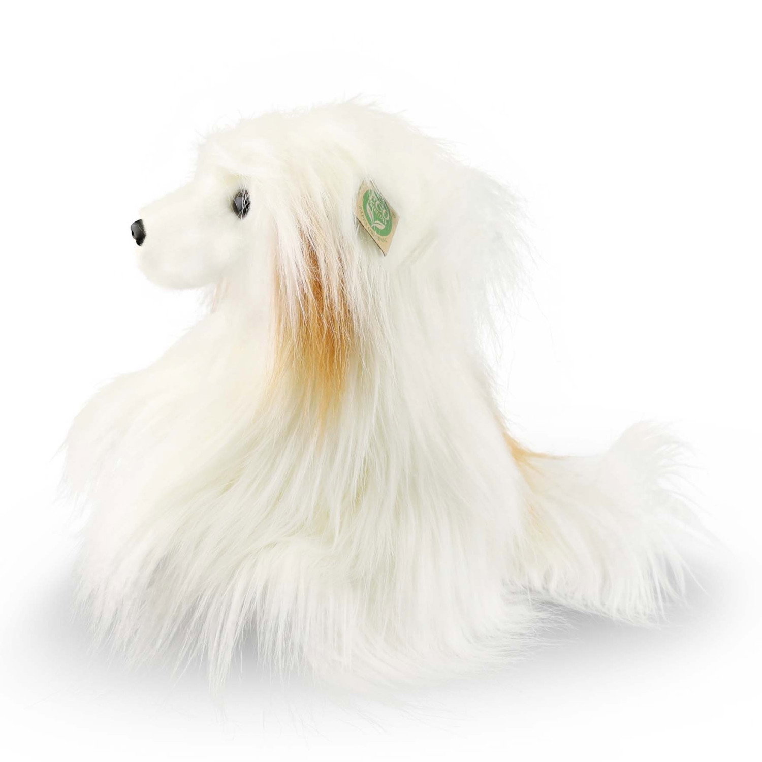 Плюшено Китайско качулато куче Rappa