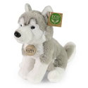 Плюшено куче Хъски Rappa
