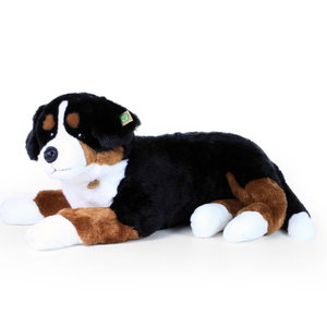 Плюшено куче Бернски зененхунд Rappa