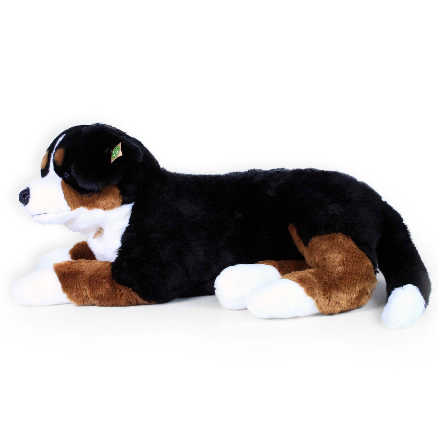 Плюшено куче Бернски зененхунд Rappa