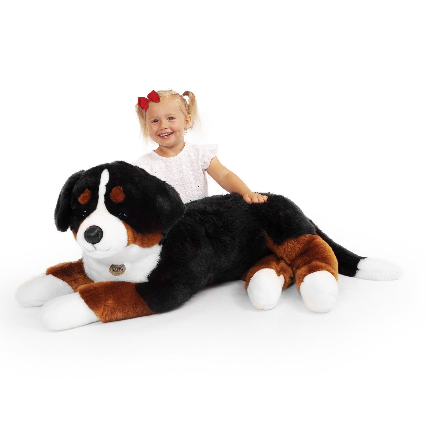 Плюшено куче Бернски зененхунд Rappa