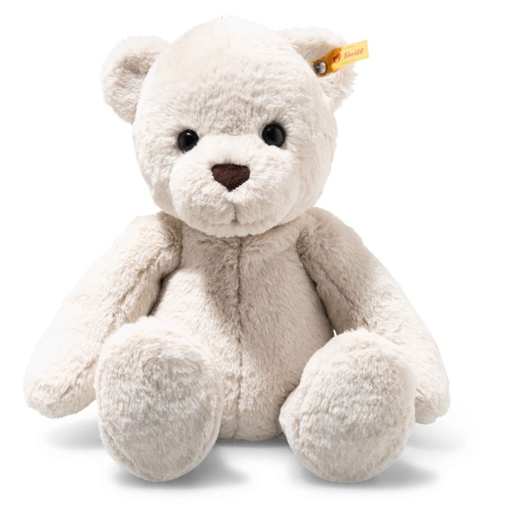 Robby Teddy bear