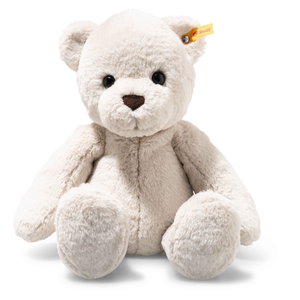 Robby Teddy bear