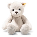 Robby Teddy bear