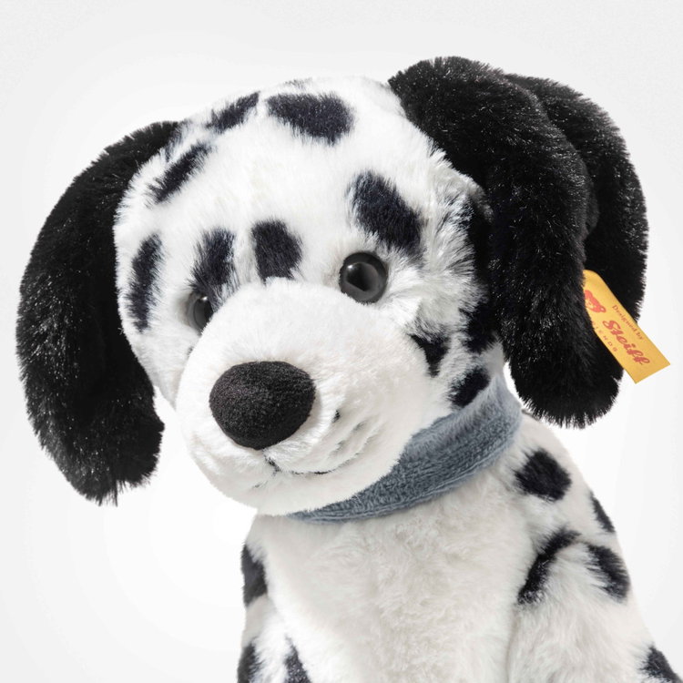 Oskar dalmatian