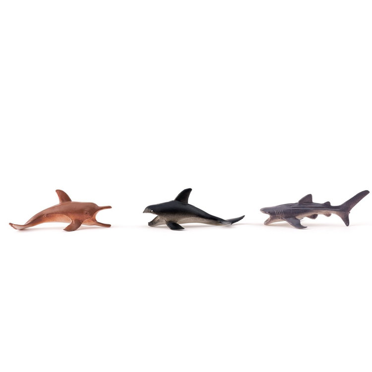 Адвент календар Животни на планетата, 24 броя