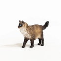Фигурка Коте Рагдол, Schleich