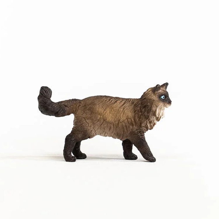 Фигурка Коте Рагдол, Schleich