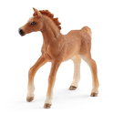 Комплект Английско чистокръвно конче и дете, Schleich