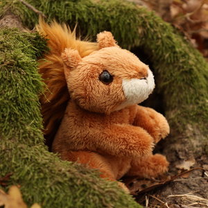 Плюшена Катерица Rappa