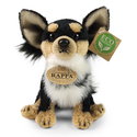 Плюшено куче Чихуахуа Rappa