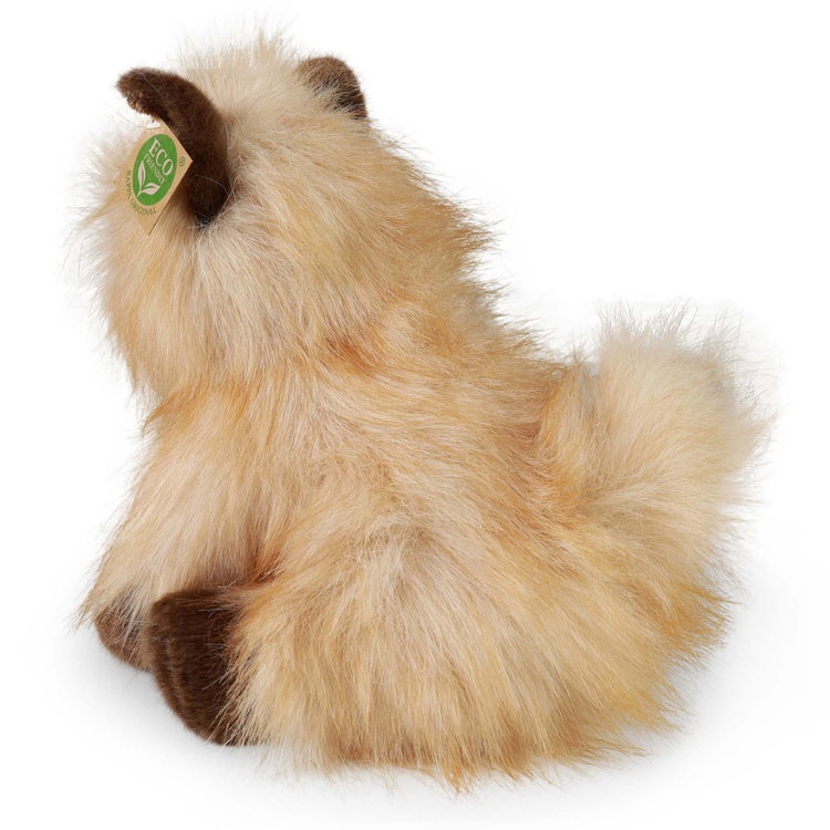 Плюшено куче Териер Rappa